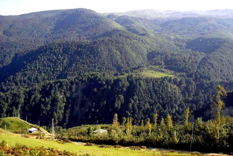 جواهر ده