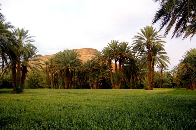 باغ آگ دال مراکش