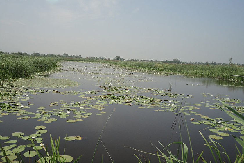 چمخاله کجاست؟