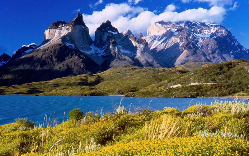 شیلی