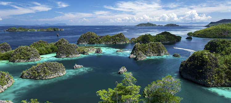 جزیره کومودو، اندونزی