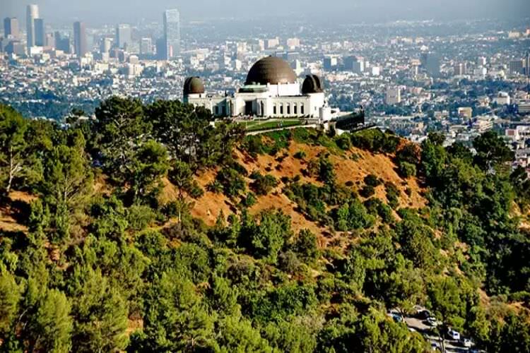 Griffith_park5.jpg
