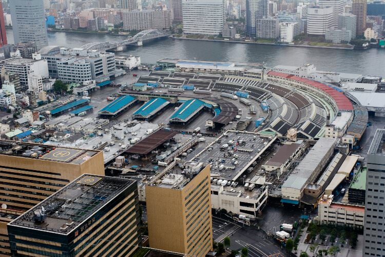 wpid-tsukiji_fish_market_1.jpg