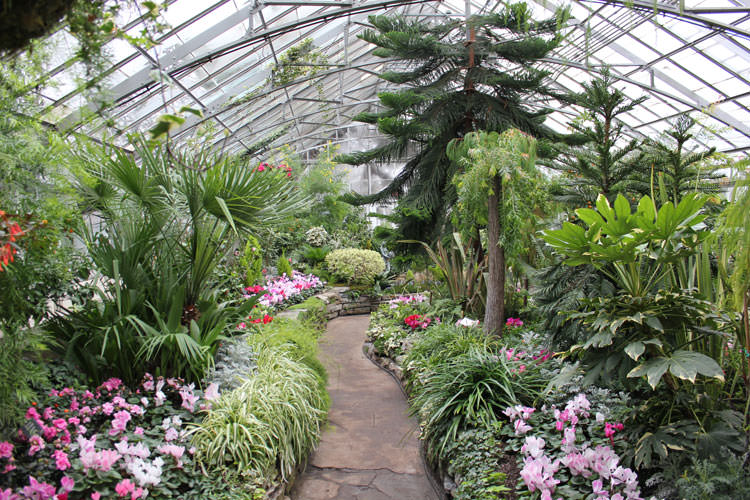 allen-gardens