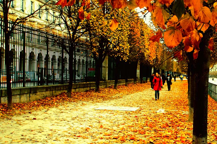 autumn_paris_france_840676