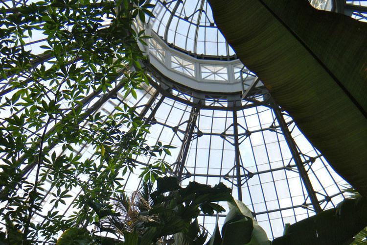 conservatory-roof-sq