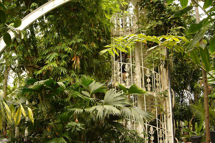 kew-gardens-palm-house-iz4eltet7