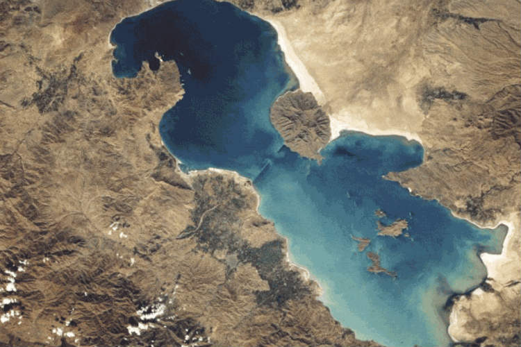 ۸۱ هزار نهال از بیابان‌ شدن دریاچه ارومیه جلوگیری می‌کنند