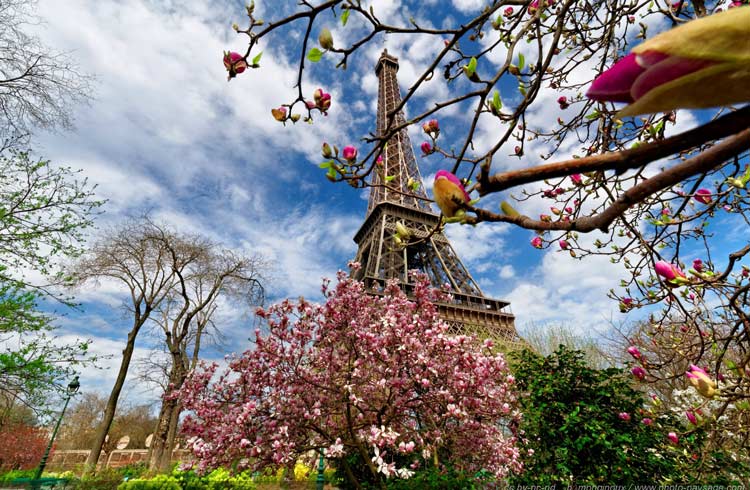 بهار در پاریس