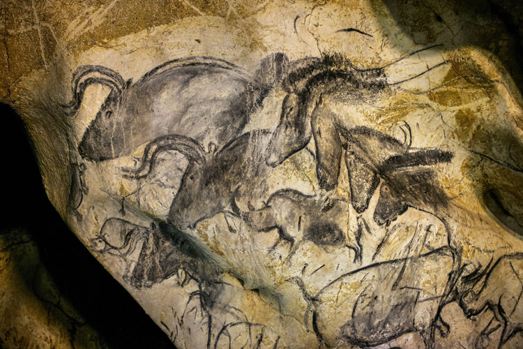 w1-s1-chauvet-a-201406245588