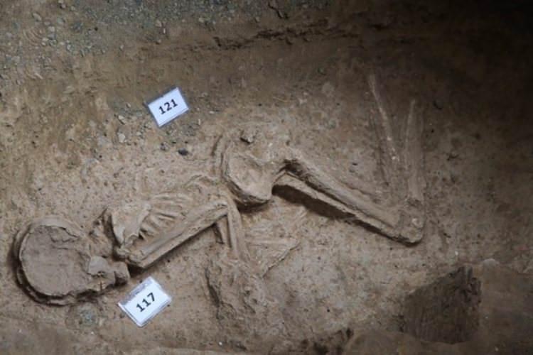 انتقال اسکلت بانوی ۷ هزار ساله به موزه ملی ایران