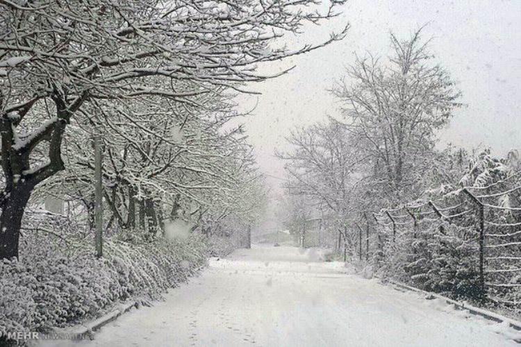 بیشترین بارش برف در شمال استان اردبیل ثبت شد