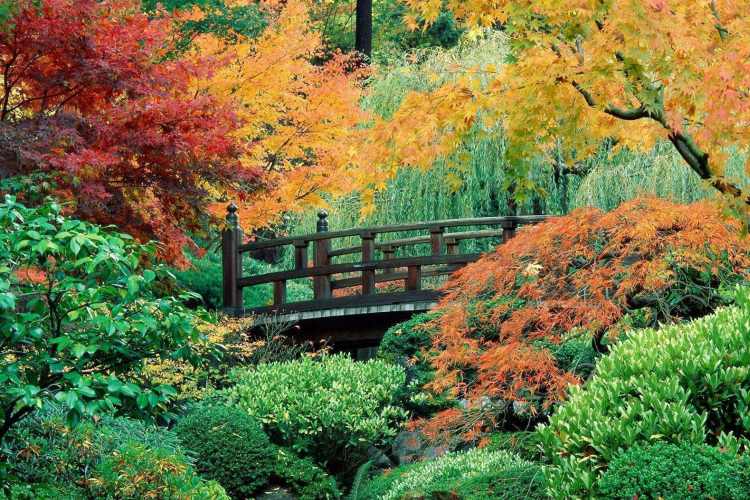 St. Anne’s Well Gardens