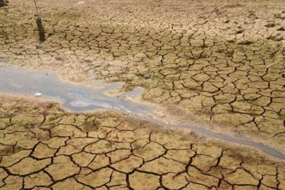 ۴۵ کشور در معرض خشکسالی شدید؛ ایران در رتبه چهارم هشدارها