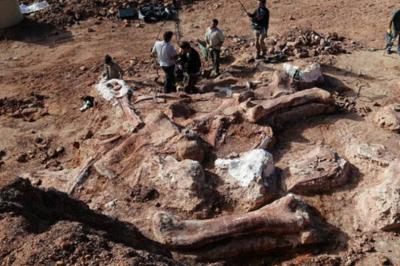 کشف فسیل‌ دایناسور‌ ۱۶ میلیون ساله در هند