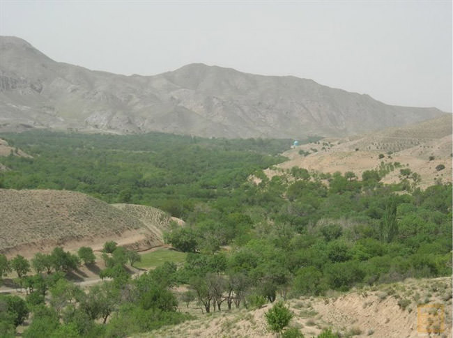 روستای کریمو؛ عروسی سبز در کویر خراسان جنوبی کجارو