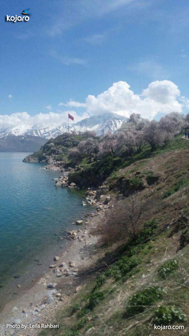 وان ترکیه