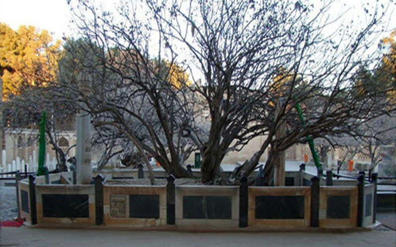 قبر جامی