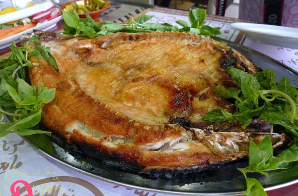 غذای محلی عراق
