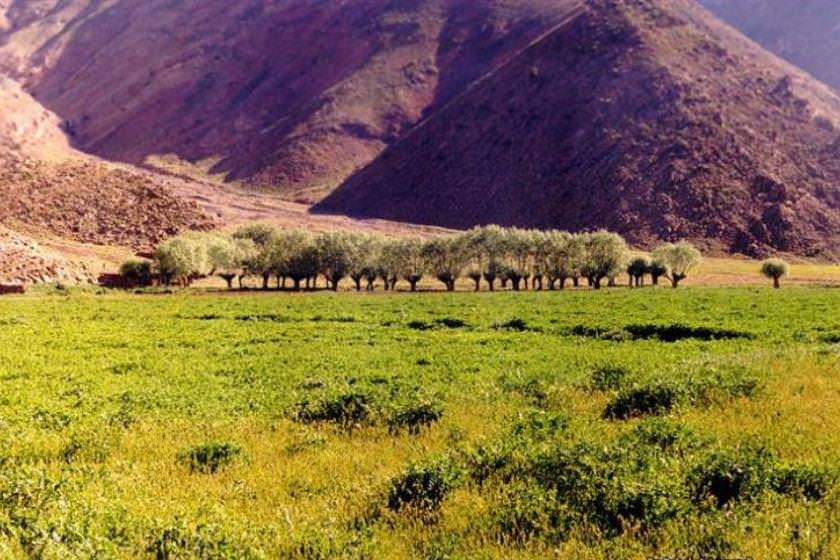 دشت هویج؛ آشنایی با مقاصد تورهای طبیعت گردی ایران