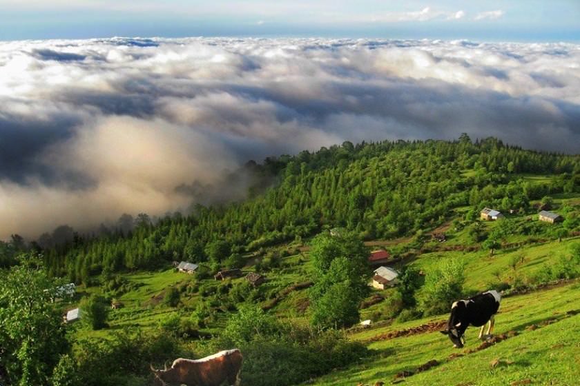 کلاردشت؛ آشنایی با مقاصد تورهای طبیعت گردی ایران