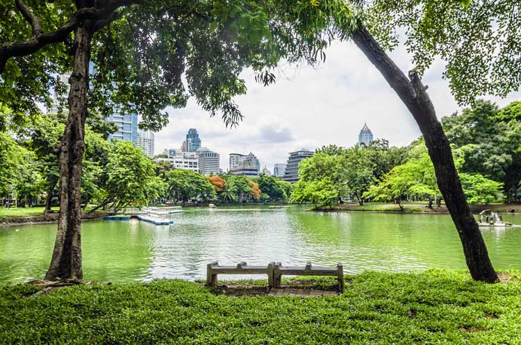 پارک بانکوک