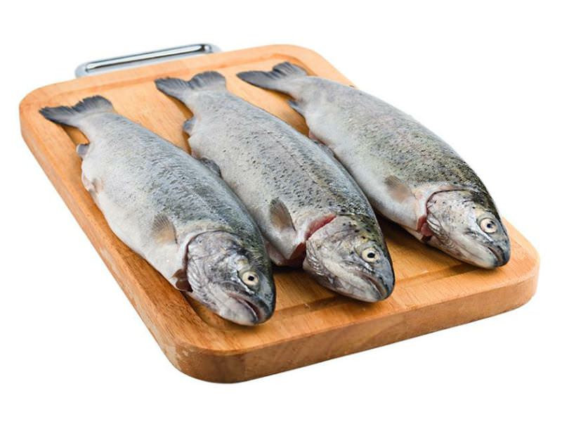 سوغات کهگیلویه و بویراحمد