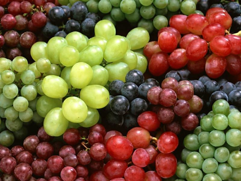 سوغات کهگیلویه و بویراحمد