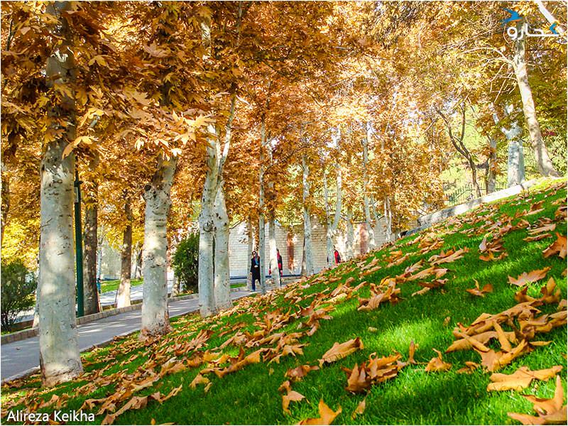 عکس پاییز در پارک ملت مشهد