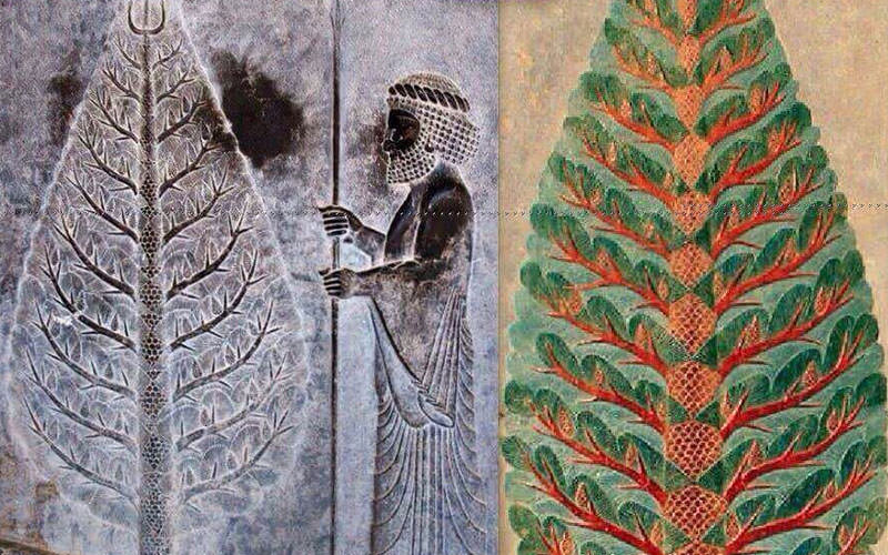 درخت کاج در ایران باستان