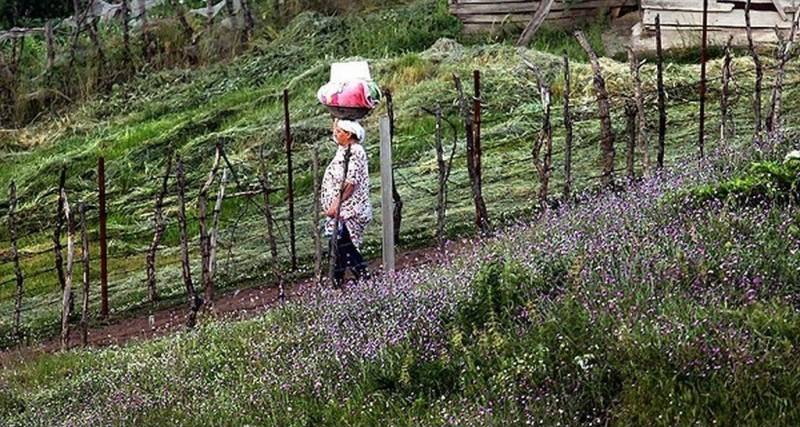 ییلاق دوخاله کوه