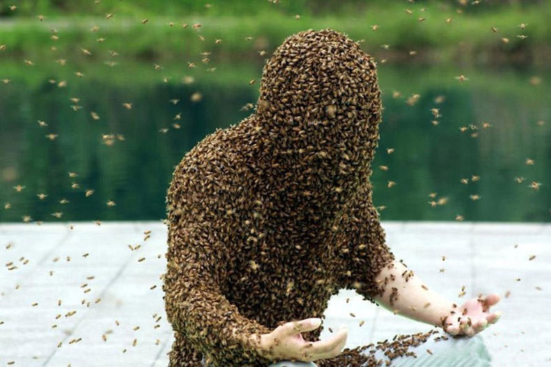 شکستن رکورد ریش زنبوری گینس