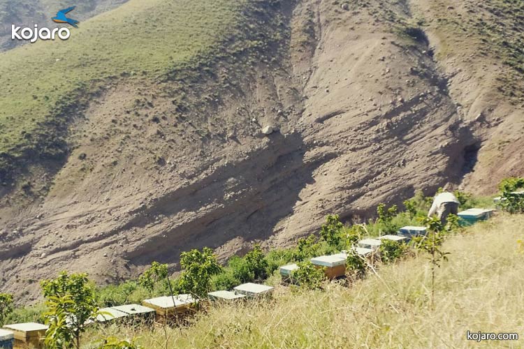 کندوی عسل طالقان