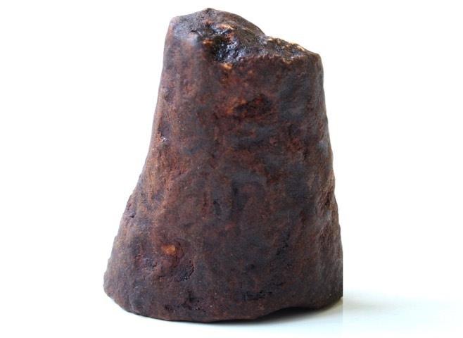 شاخ کرگدن