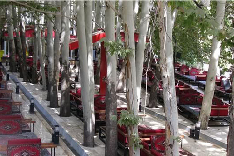 رستوران ارکیده