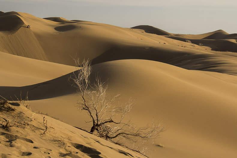 ورود گردشگران به کویر مرنجاب به مدت ۴ روز ممنوع است