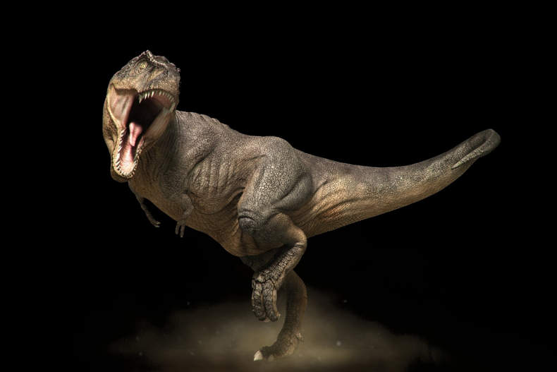 ناخن یک دایناسور در کویر لوت کشف شد