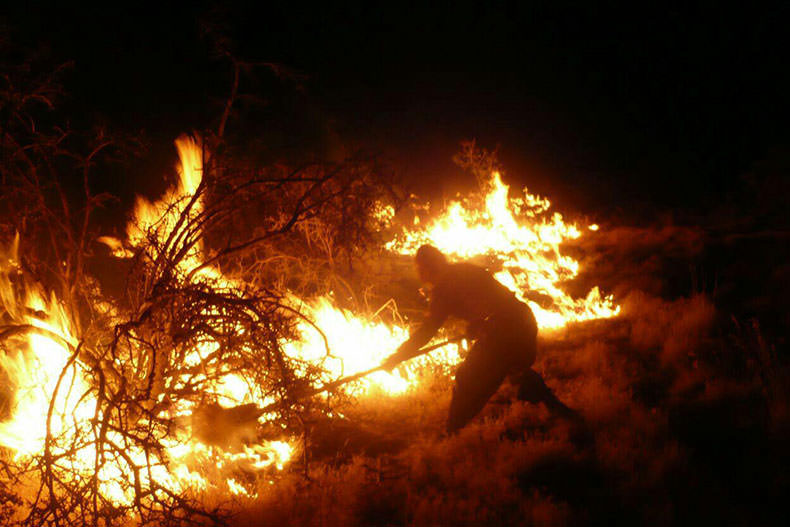 آتش سوزی در جنگل های فارس مهار شد