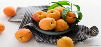 زردآلو نگین طلایی میوه های تابستان؛ سرشار از ویتامین‌ 