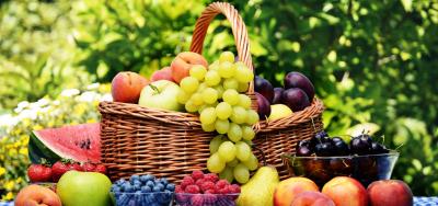 با فراموش نشدنی ترین میوه های فصل تابستان آشنا شوید