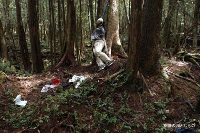 خودکشی در جنگل ترسناک آئوکیگاهارا