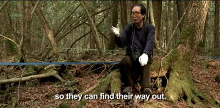 جنگل خودکشی در ژاپن