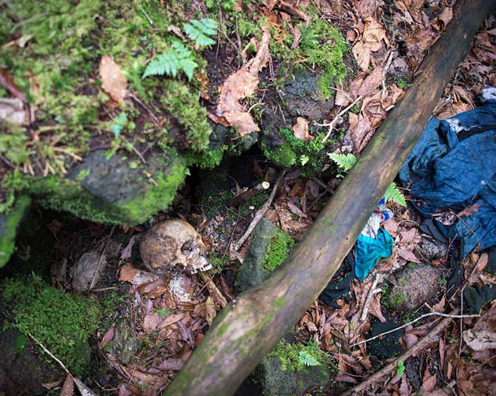 جنگل خودکشی در ژاپن، ترسناک