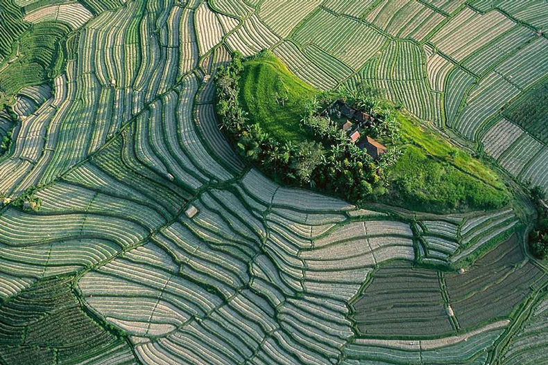عکس های زیبا از زمین؛ اثر «یان آرتوس برتراند»