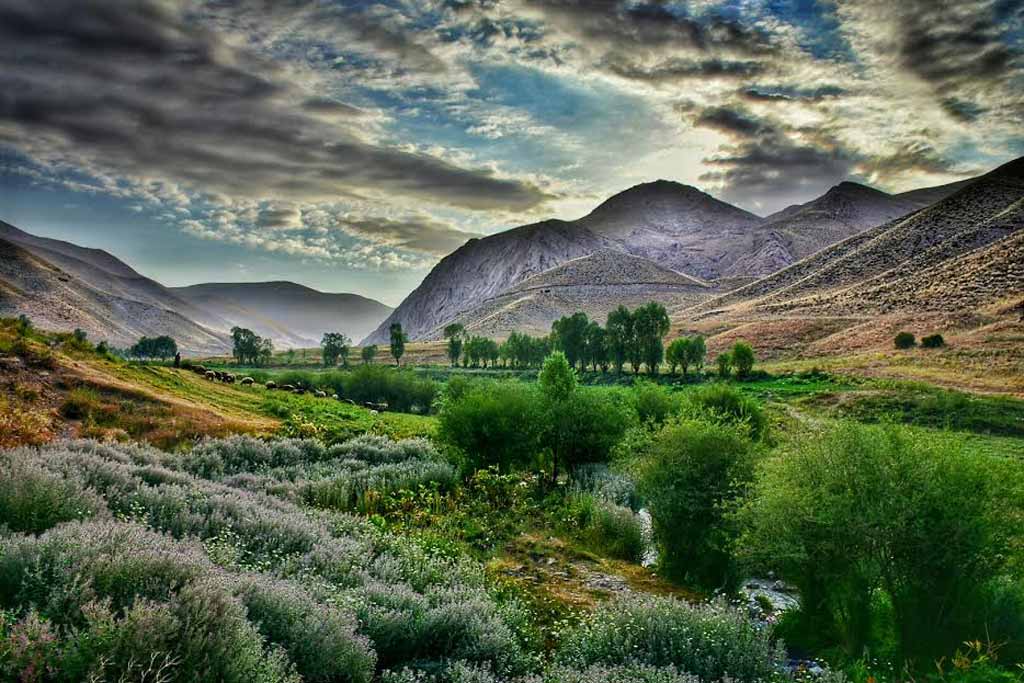 عکاسباشی سری چهاردهم طلوع طبیعت تا برگشته کجارو