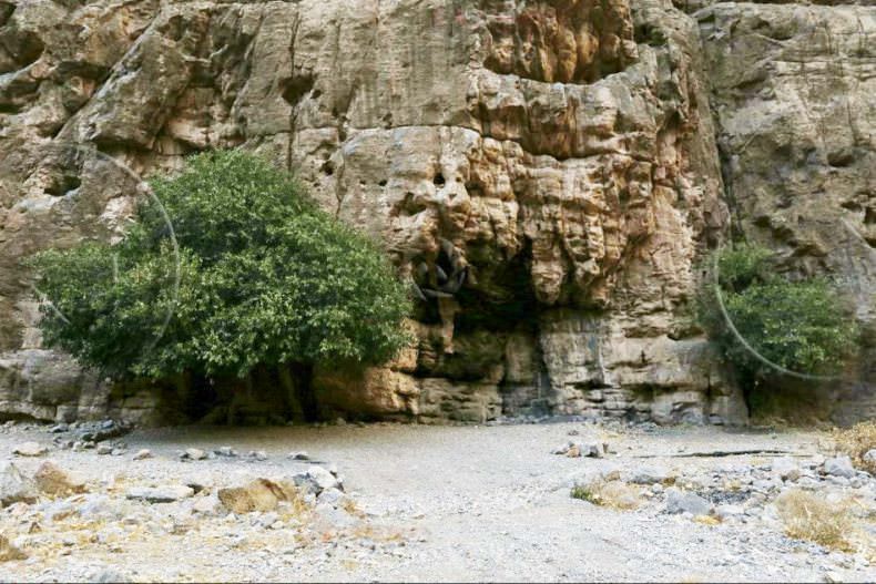 منطقه حفاظت شده هفتاد قله اراک؛ مأمن پرندگان مهاجر