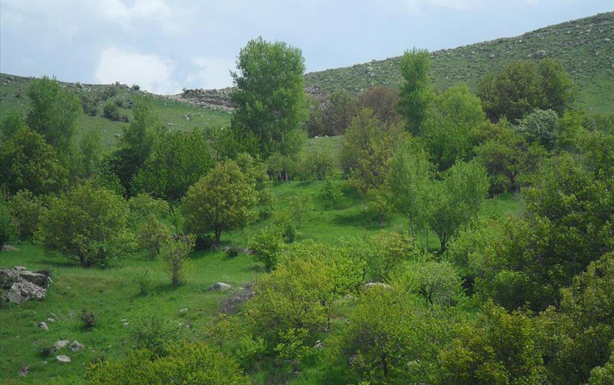 روستای اونار؛ آمیزه ای از تاریخ و طبیعت