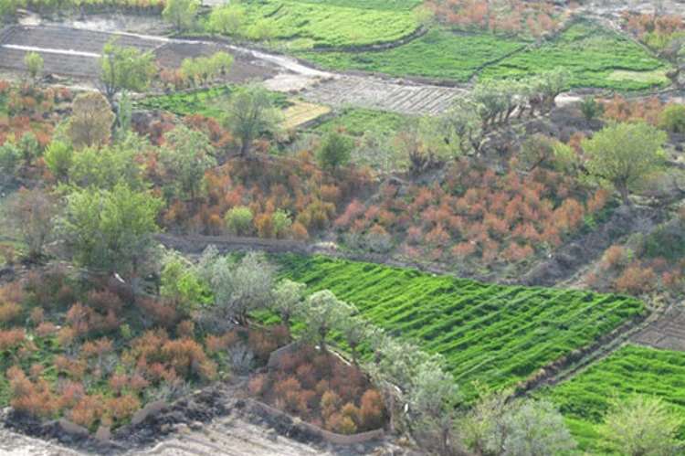 روستای اسفیدان