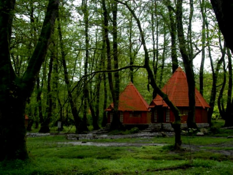 کلبه های چوبی در پارک جنگلی چالدره