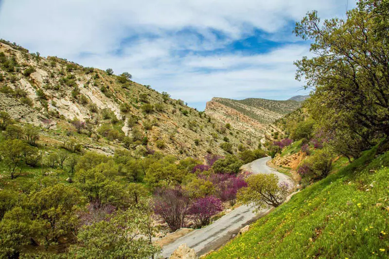 تنگ ارغوان ایلام